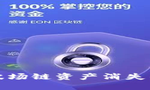 TP钱包中波场链资产消失的解决方法