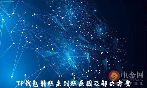 TP钱包转账未到账原因及解决方案