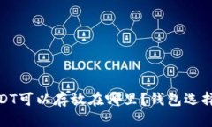 : USDT可以存放在哪里？钱