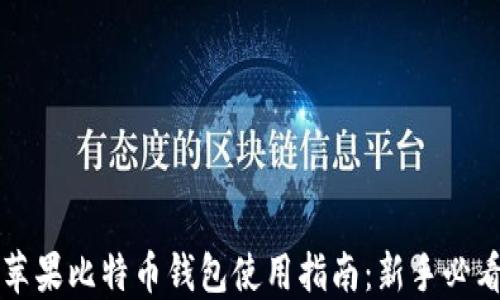 苹果比特币钱包使用指南:新手必看