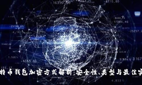 比特币钱包加密方式解析:安全性、类型与最佳实践