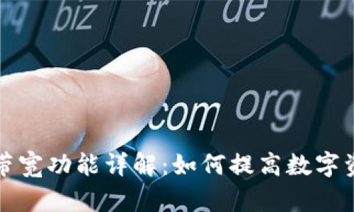 TP钱包里的带宽功能详解:如何提高数字资产交易效率