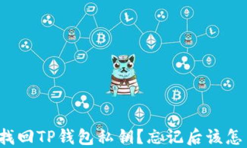 如何找回TP钱包私钥?忘记后该怎么办?