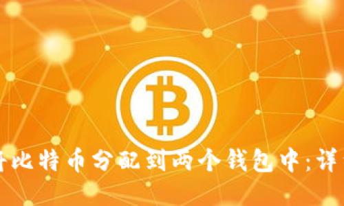 如何将比特币分配到两个钱包中:详细指南