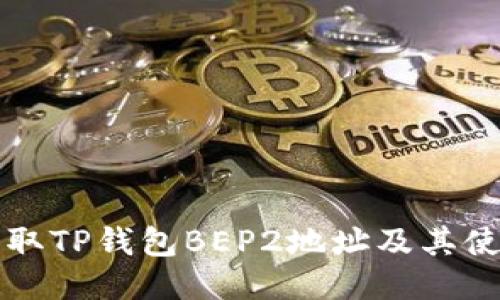 如何获取TP钱包BEP2地址及其使用指南