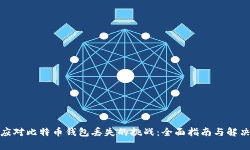 如何应对比特币钱包丢失的挑战:全面指南与解决方案