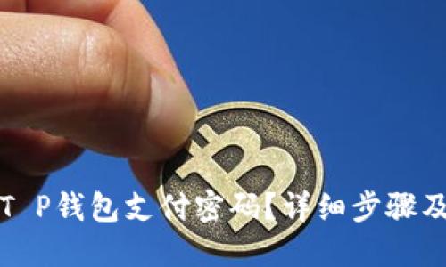 如何找回T P钱包支付密码?详细步骤及解决方案
