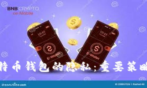 如何保护比特币钱包的隐私:重要策略与实用技巧
