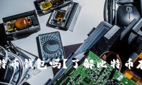 必须下载比特币钱包吗?了解比特币存储的必要性