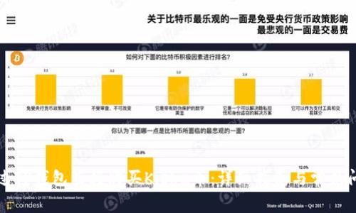 如何通过TP钱包直接购买Kishu币:详细指南与常见问题解答