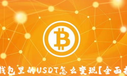 TP钱包里的USDT怎么变现?全面指南