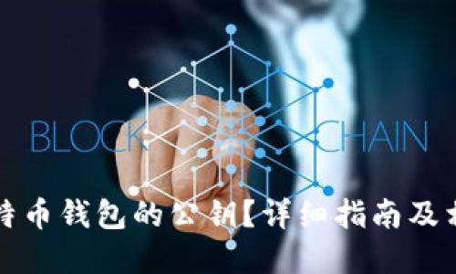 如何找到比特币钱包的公钥?详细指南及相关问题解答