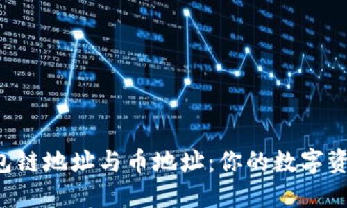 选择 T P 钱包链地址与币地址:你的数字资产的最佳实践