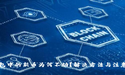 TP钱包中的新币为何不动?解决方法与注意事项
