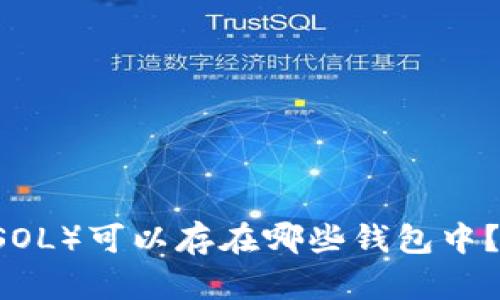 Solana(SOL)可以存在哪些钱包中?全面指南