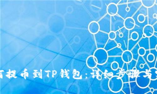 火币如何提币到TP钱包:详细步骤与实用技巧