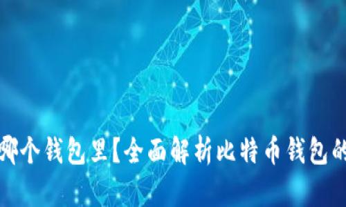 比特币存在哪个钱包里?全面解析比特币钱包的类型与选择