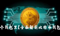 比特币存在哪个钱包里？