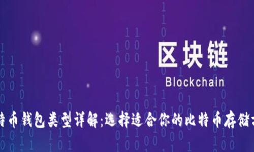 比特币钱包类型详解:选择适合你的比特币存储方式