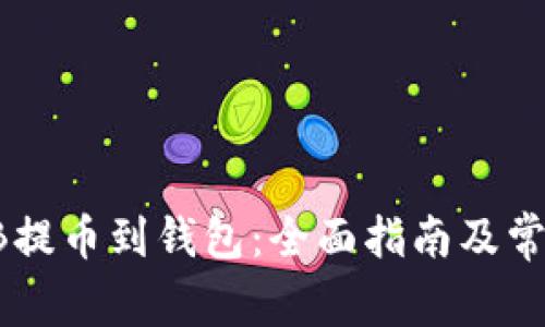 如何将SHIB提币到钱包:全面指南及常见问题解答