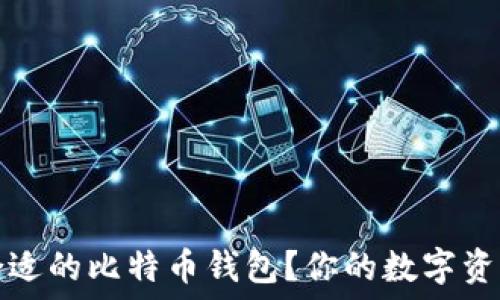 如何选择合适的比特币钱包?你的数字资产安全指南