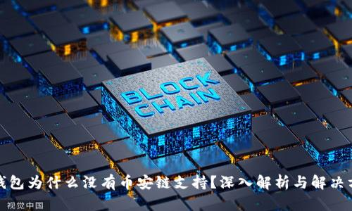 TP钱包为什么没有币安链支持?深入解析与解决方案