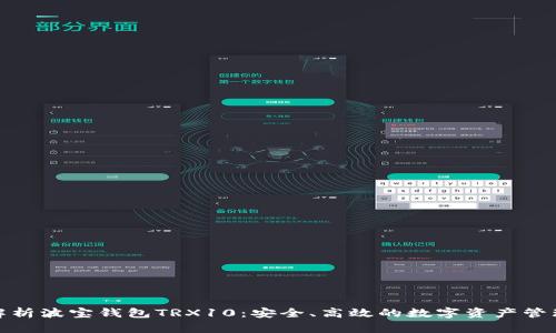 全面解析波宝钱包TRX10:安全、高效的数字资产管理选择