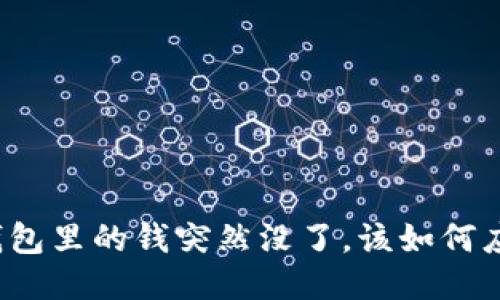 TP钱包里的钱突然没了,该如何应对?