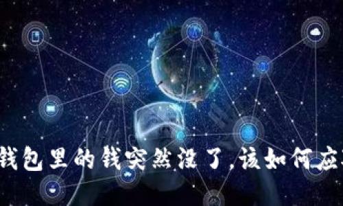 TP钱包里的钱突然没了,该如何应对?