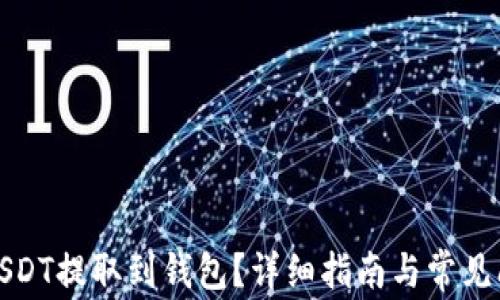 如何将USDT提取到钱包?详细指南与常见问题解答