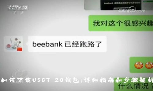 如何下载USDT 20钱包:详细指南和步骤解析