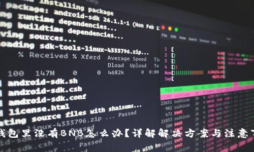 TP钱包里没有BNB怎么办?详解解决方案与注意事项