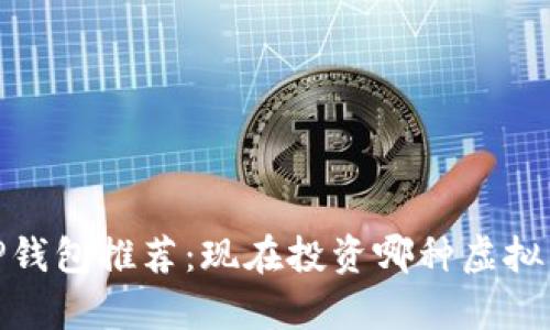 : 2023年TP钱包推荐:现在投资哪种虚拟货币最划算?