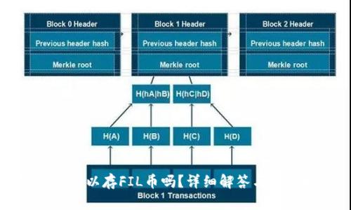 TP钱包可以存FIL币吗?详细解答与使用指南