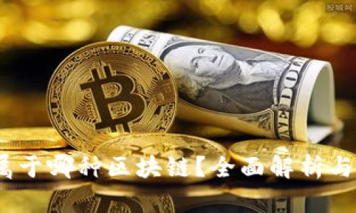 Sol钱包属于哪种区块链?全面解析与使用指南