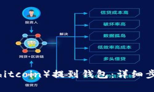 如何将屎币(Shitcoin)提到钱包:详细步骤与注意事项