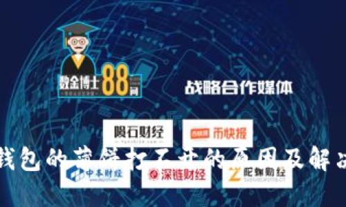 : TP钱包的薄饼打不开的原因及解决方法