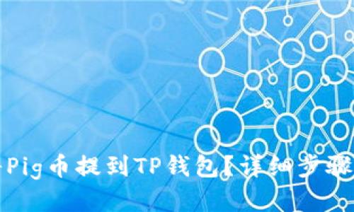 如何将Pig币提到TP钱包?详细步骤与指南