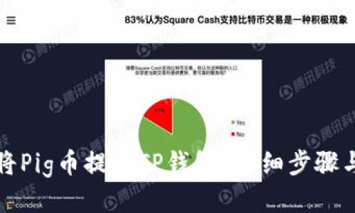 如何将Pig币提到TP钱包?详细步骤与指南