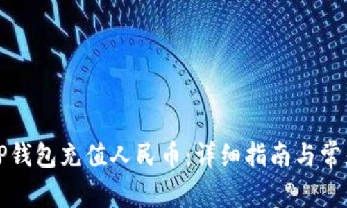 如何使用TP钱包充值人民币:详细指南与常见问题解答