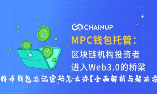 比特币钱包忘记密码怎么办?全面解析与解决方案
