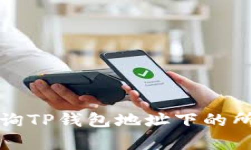 如何查询TP钱包地址下的所有余额