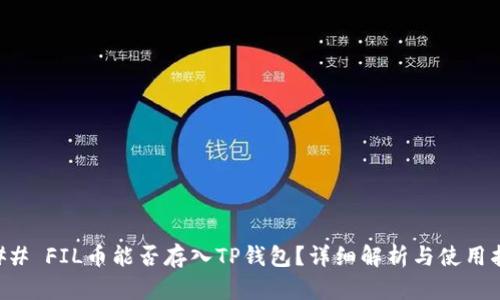 ### FIL币能否存入TP钱包?详细解析与使用指南