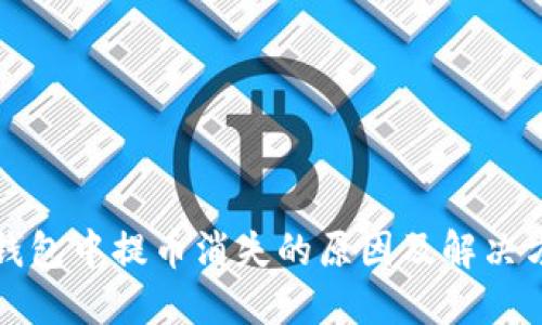 TP钱包中提币消失的原因及解决方案