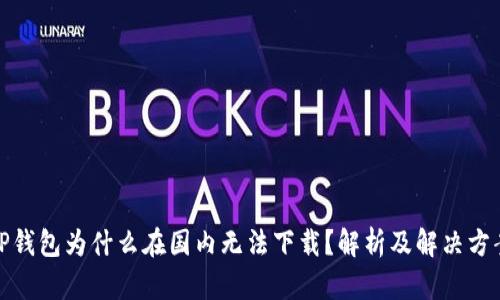 TP钱包为什么在国内无法下载?解析及解决方案