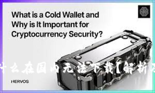 TP钱包为什么在国内无法下载?解析及解决方案