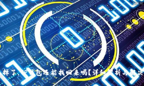 手机掉了,TP钱包还能找回来吗?详细解析与解决方案