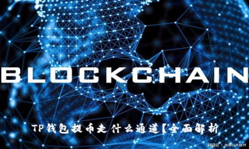 TP钱包提币走什么通道?全面解析