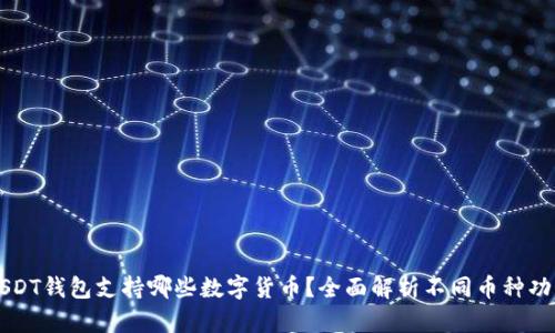 USDT钱包支持哪些数字货币?全面解析不同币种功能