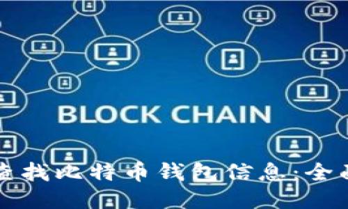 如何查找比特币钱包信息:全面指南